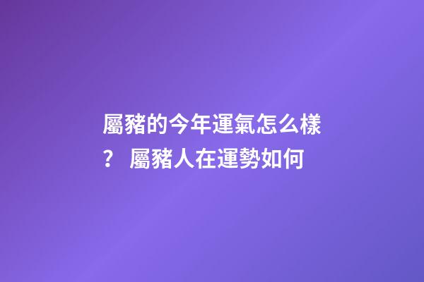 屬豬的今年運氣怎么樣？ 屬豬人在運勢如何